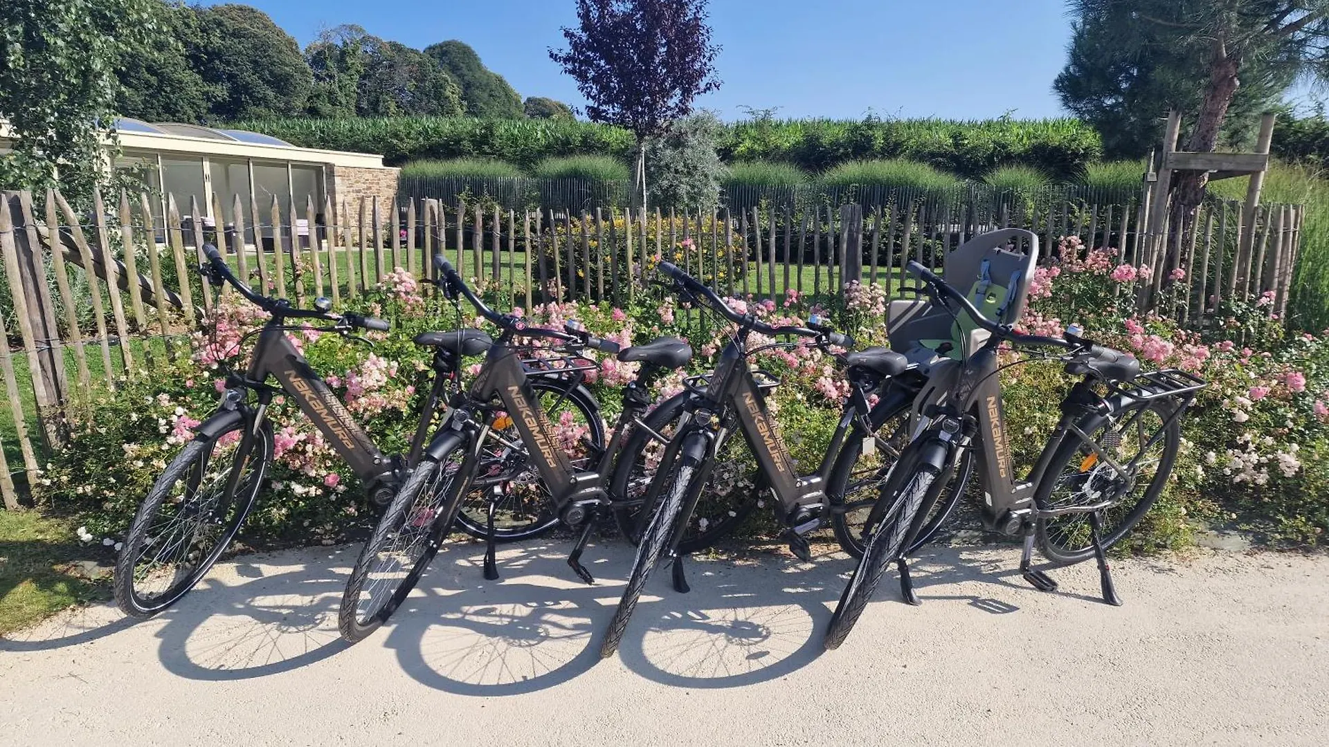 Les Gites Du Haut Pin Calorguen Fransa
